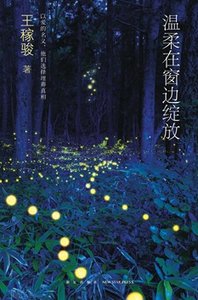 温柔在窗边绽放(出书版)